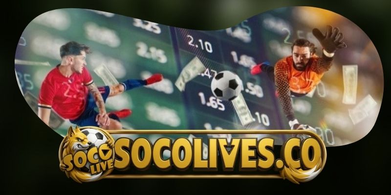 Đội ngũ nhân sự – Linh hồn tạo nên sức hút của Socolives