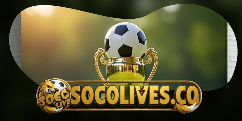 Kèo Góc Asian Cup: Bí Quyết Soi Tỷ Lệ Thắng Lớn